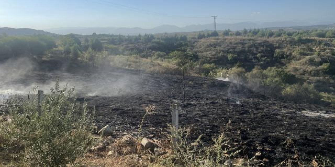 Adana'da yangın: Ormana sıçramadan kontrol altına alındı