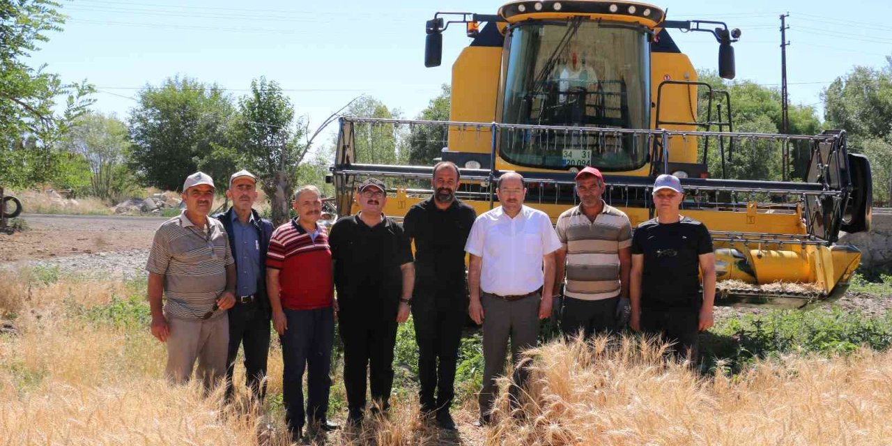 Erzincan'da buğday rekoltesi çiftçilerin yüzünü güldürüyor