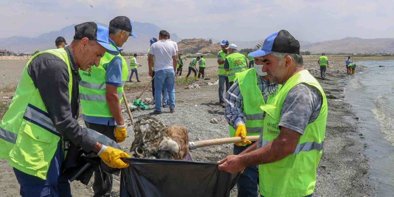 Van Gölü sahilinde tonlarca çöp toplandı