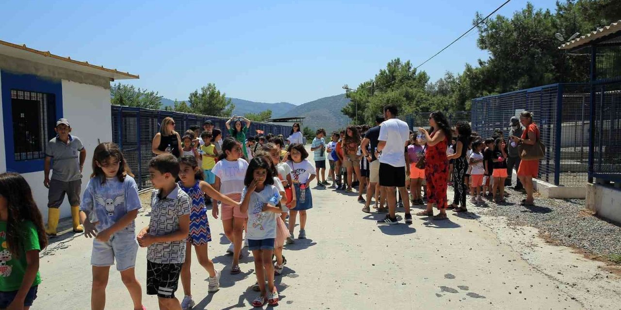 80 minik yürek, can dostlarıyla buluştu