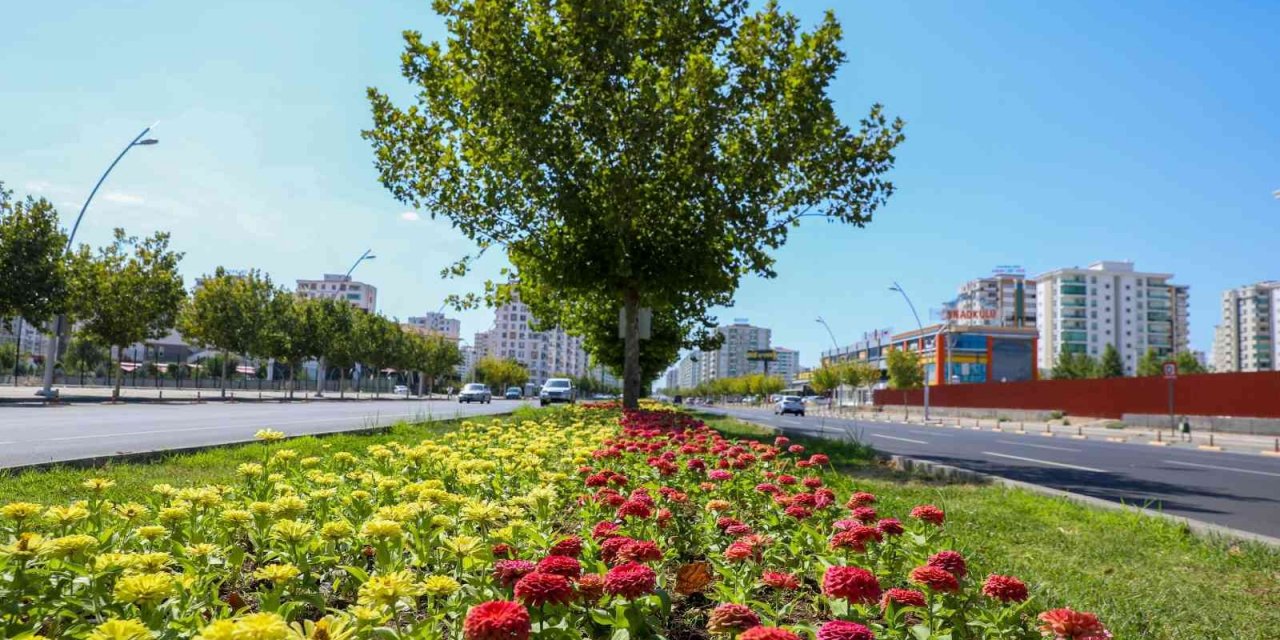 Kayapınar ilçesinde Fırat Bulvarı 75 bin 360 adet çiçekle süslendi