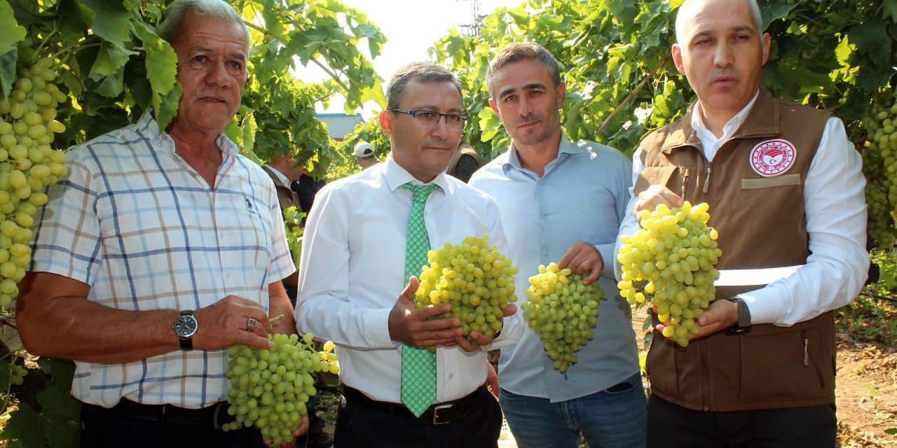 Üzümde ihracat başladı, ilk TIR'lar yola çıktı