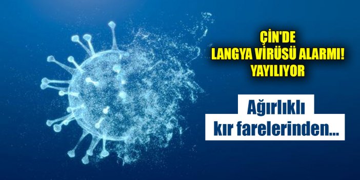 Çin'de Langya virüsü alarmı! Yayılıyor