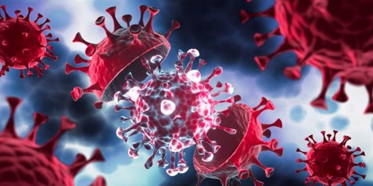 Bilim Kurulu Üyesi tarih verdi: Koronavirüs vaka sayılarında düşüş bekleniyor