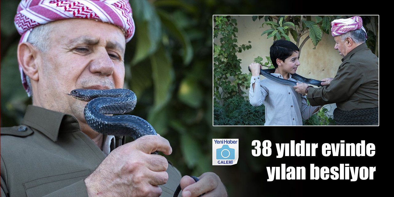 Yıllardır evinde ailesiyle 60 yılan besliyor! Sebebi ise...