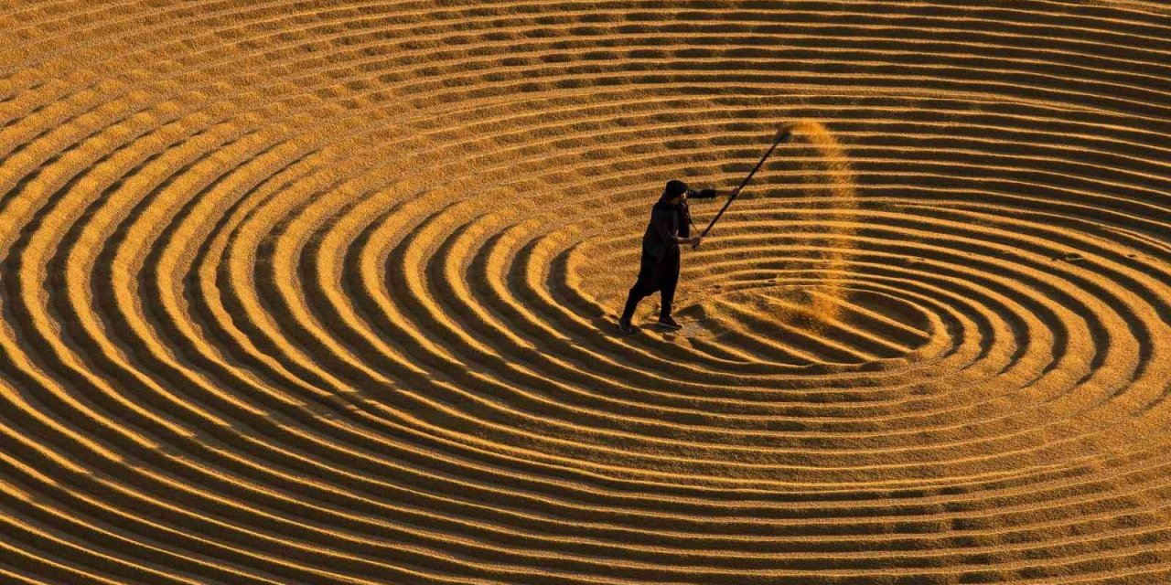 En güzel hasat mevsimi fotoğrafları aranıyor