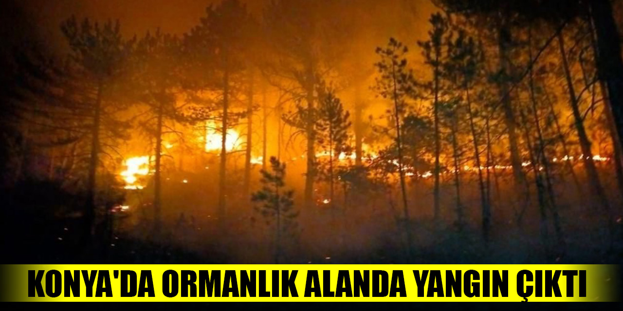 Konya'da ormanlık alanda yangın çıktı