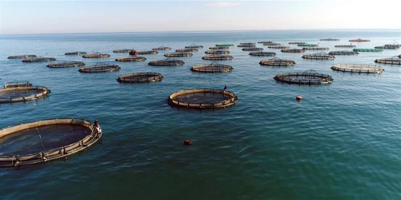 Su ürünlerinde 2023 ihracat hedefi 2 milyar dolar