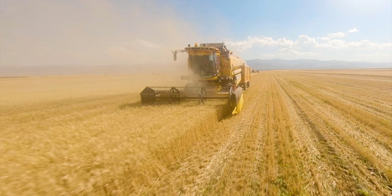 Bazı illerde TMO'nun buğday ve arpa alım primi desteğinden yararlanma süresi uzatıldı