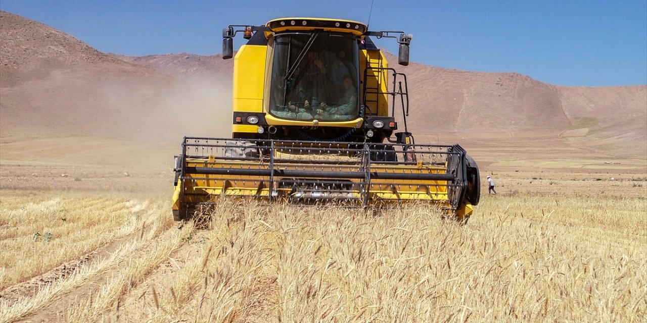 Hububat ihracatında yüzde 28’lik artış