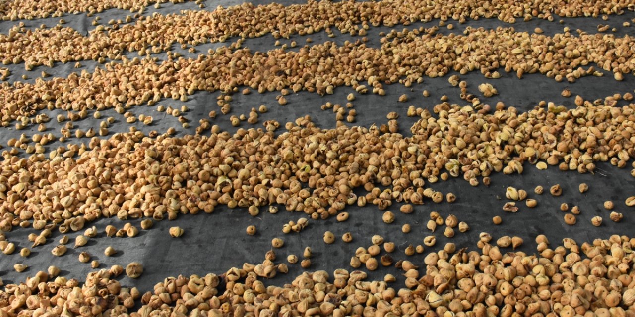 Kuru incir ihracatında hedef 70 bin ton