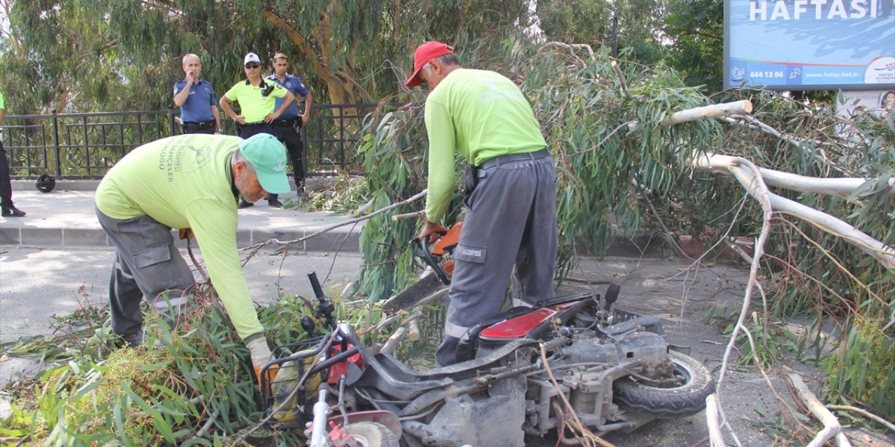 Hatay'da devrilen ağacın altında kalan motosikletteki 2 kişi yaralandı