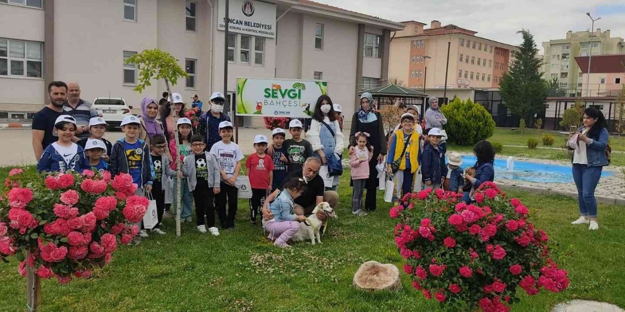 Minik dostlara sevginin yolu bu bahçeden geçiyor