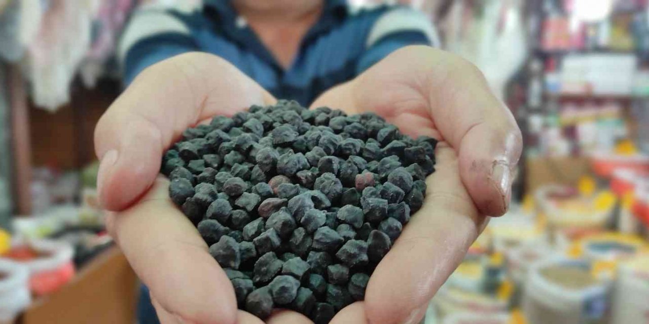 Tohumunu yurt dışından getirdi, büyük talep görüyor