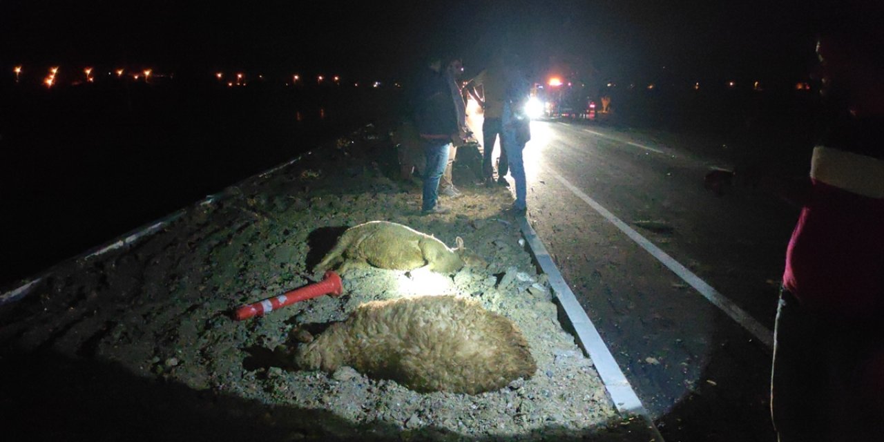 Konya'da otomobil koyun sürüsüne çarptı