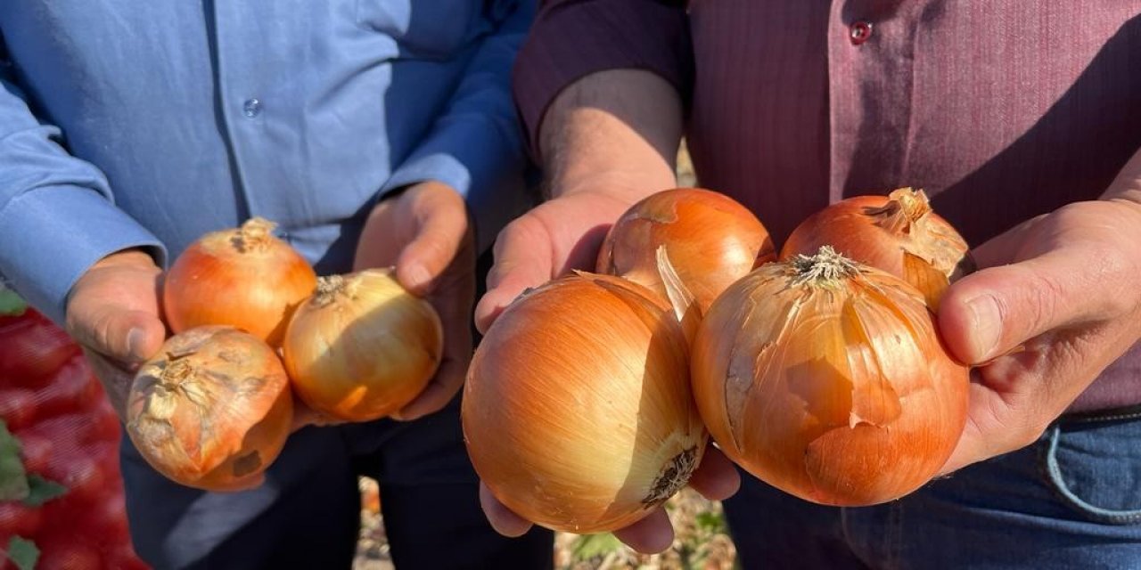 Ahmet Hakan: Soğanın temsil ettiği şeyi küçümseyen zararlı çıkar