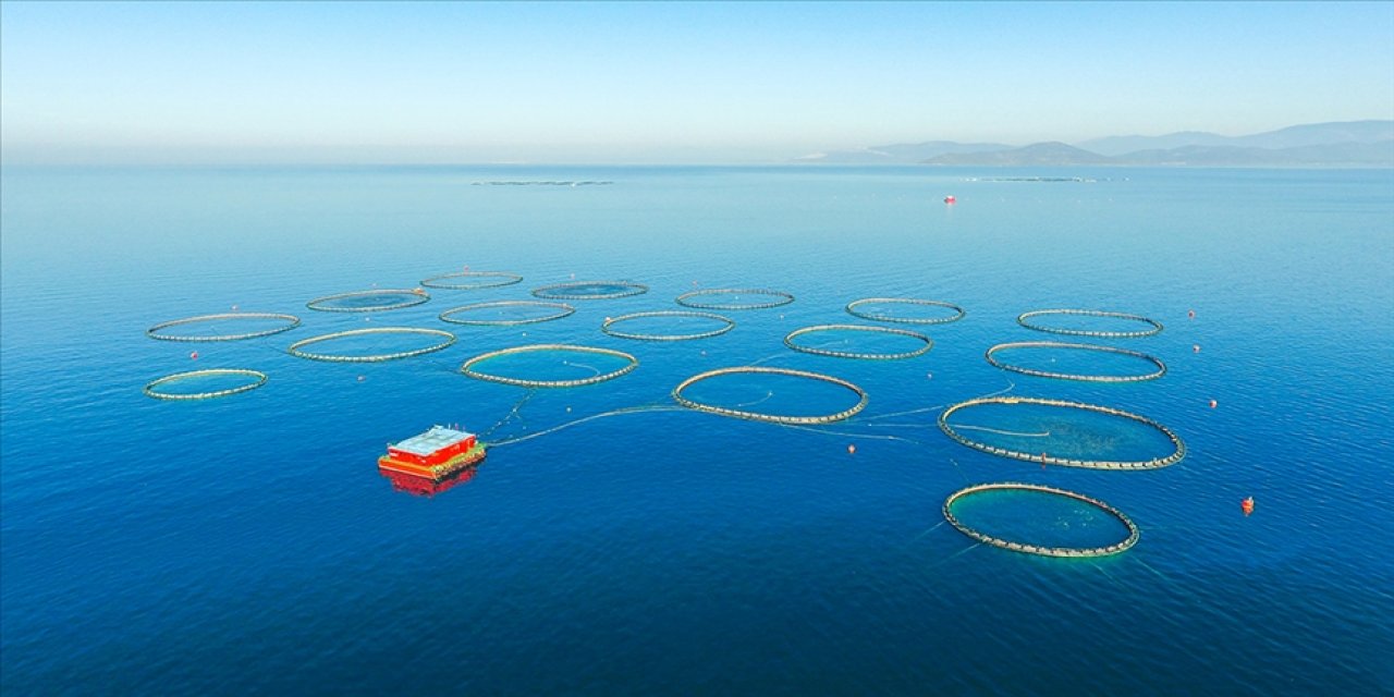 Tarım, ormancılık ve balıkçılık sektörünün varlıkları 3 katına çıktı