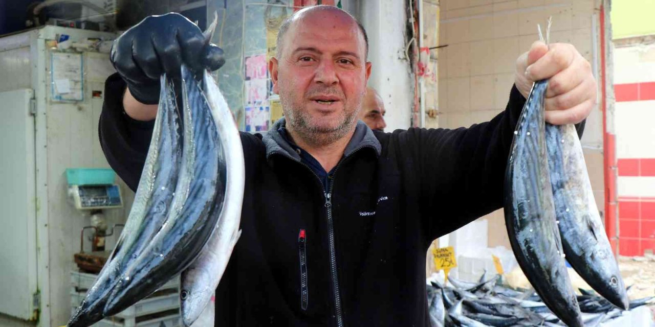 Karadeniz’de balık patlaması