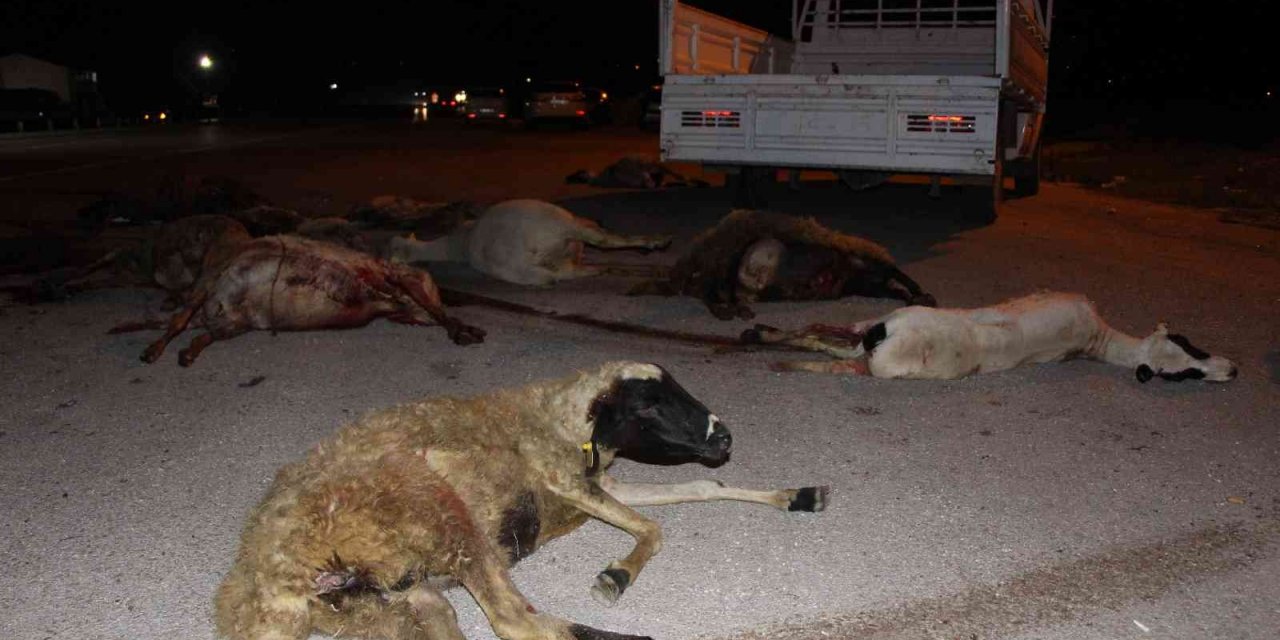 Koyun sürüsüne peş peşe iki otomobil çarptı, 25 koyun telef oldu