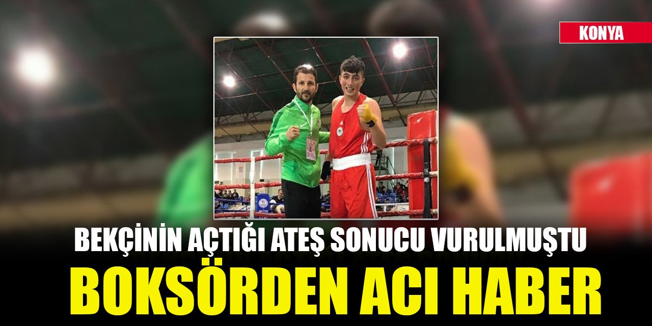 Konya'da bekçinin açtığı ateş sonucu başından vurulan boksörden acı haber