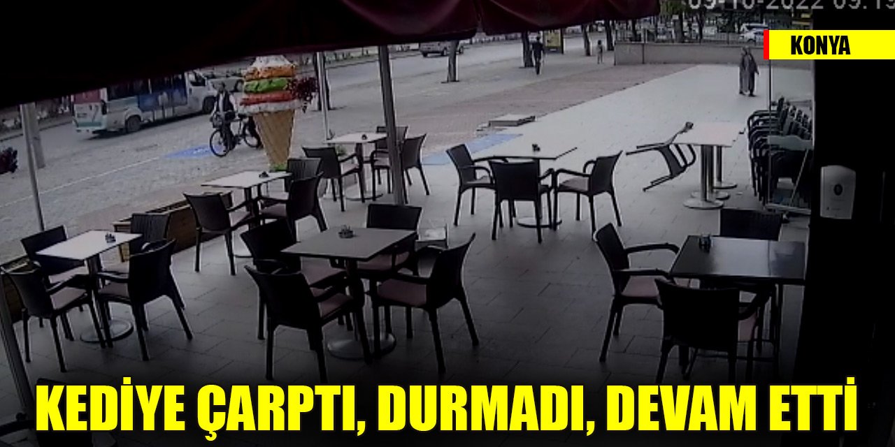 Konya'da aracıyla kediye çarpıp ölümüne neden olan sürücü durmadı, devam etti