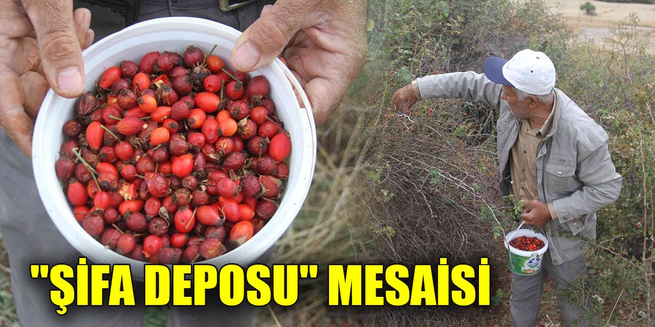 Konya’da vatandaşların "şifa deposu" mesaisi başladı! Marmelatı 100 lira