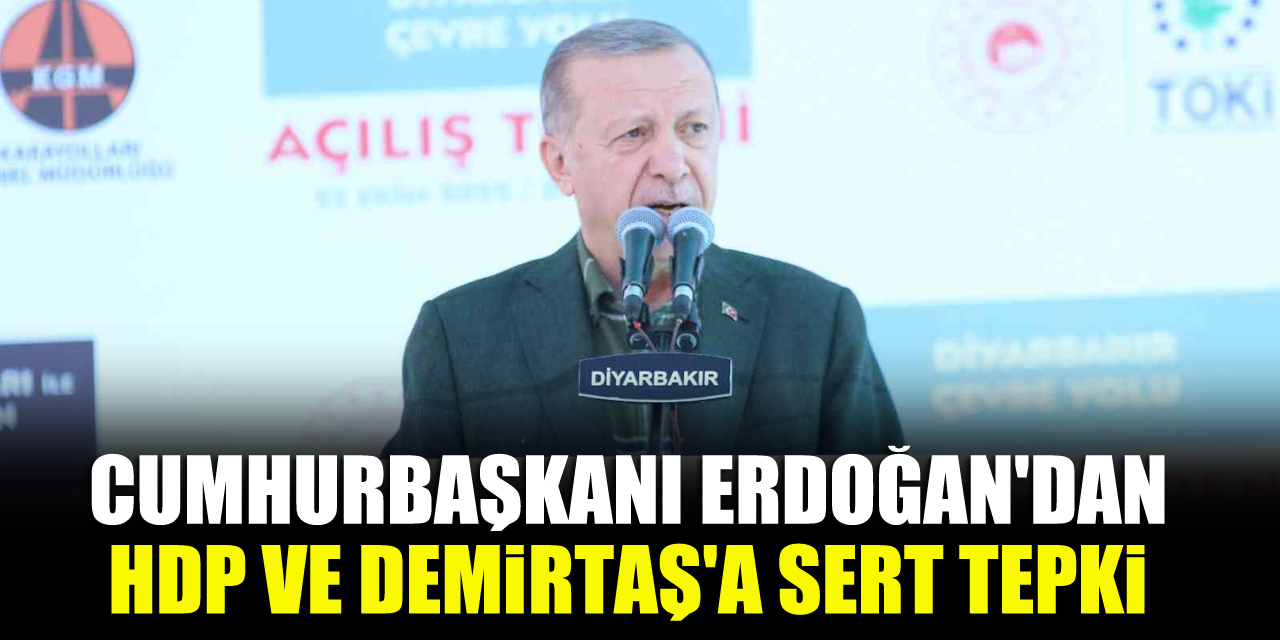 Cumhurbaşkanı Erdoğan'dan HDP ve Demirtaş'a sert tepki