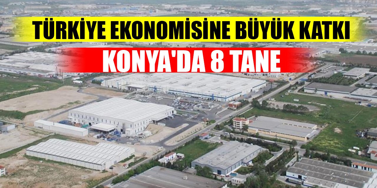 Türkiye ekonomisine büyük katkı sağlıyorlar! Konya'da 8 tane