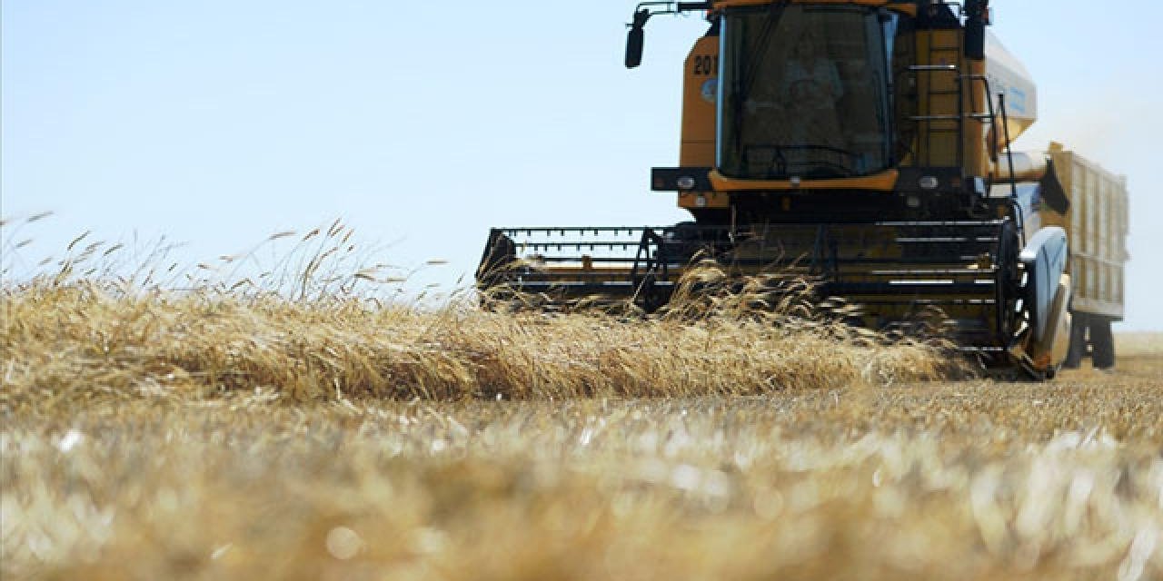 Tarımda rekor üstüne rekor