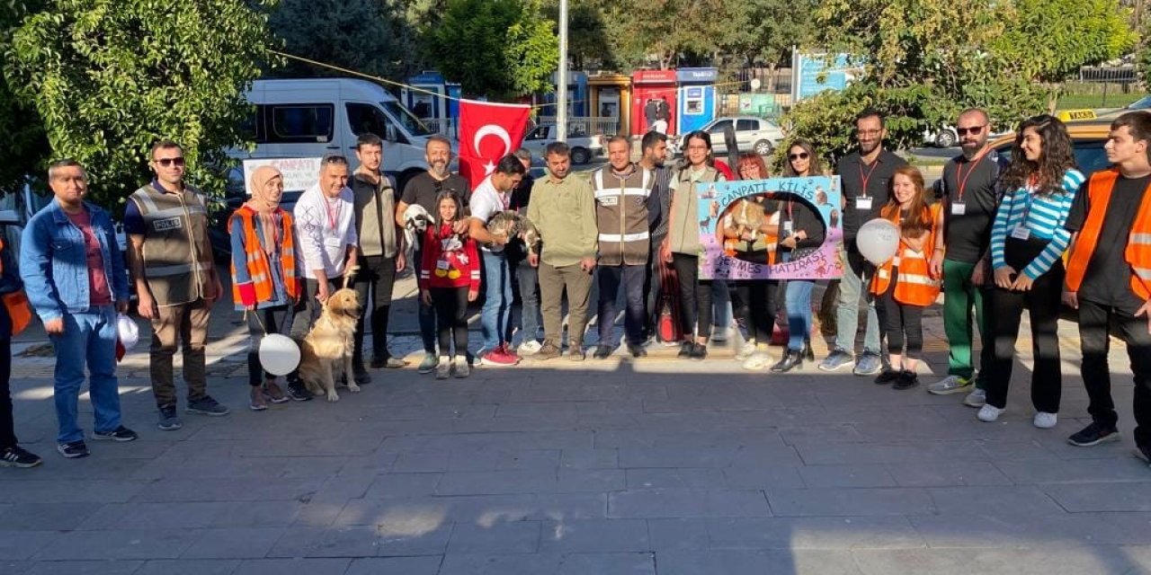 Yardıma muhtaç hayvanlar için bir araya geldiler