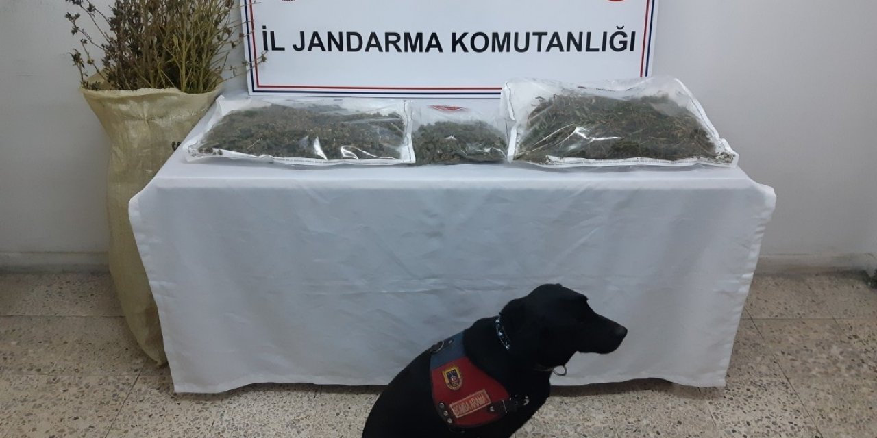 Narkotik köpeği ‘Puslu’ uyuşturucuyu saklandığı yerde buldu