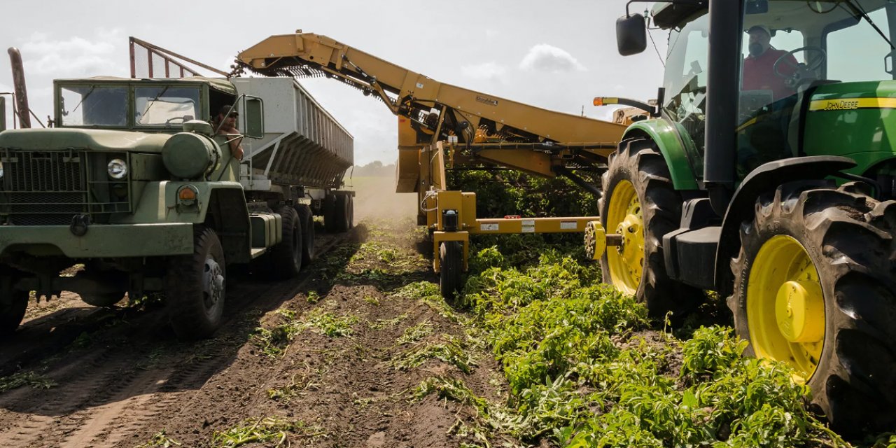 Bakan duyurdu: Bugün hesaplarda