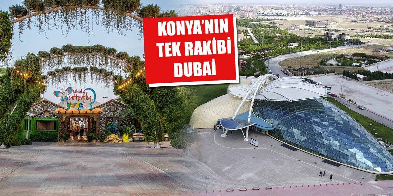 Konya Tropikal Kelebek Bahçesi’nin tek rakibi Dubai