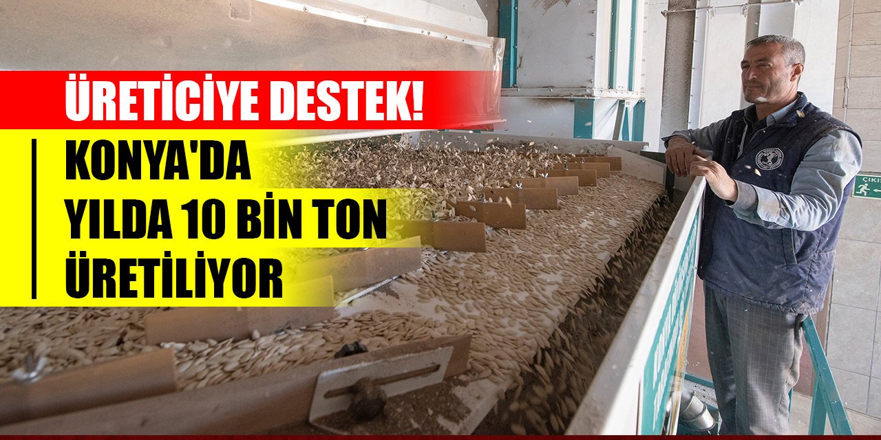 Üreticiye destek! Konya'da yılda 10 bin ton üretiliyor