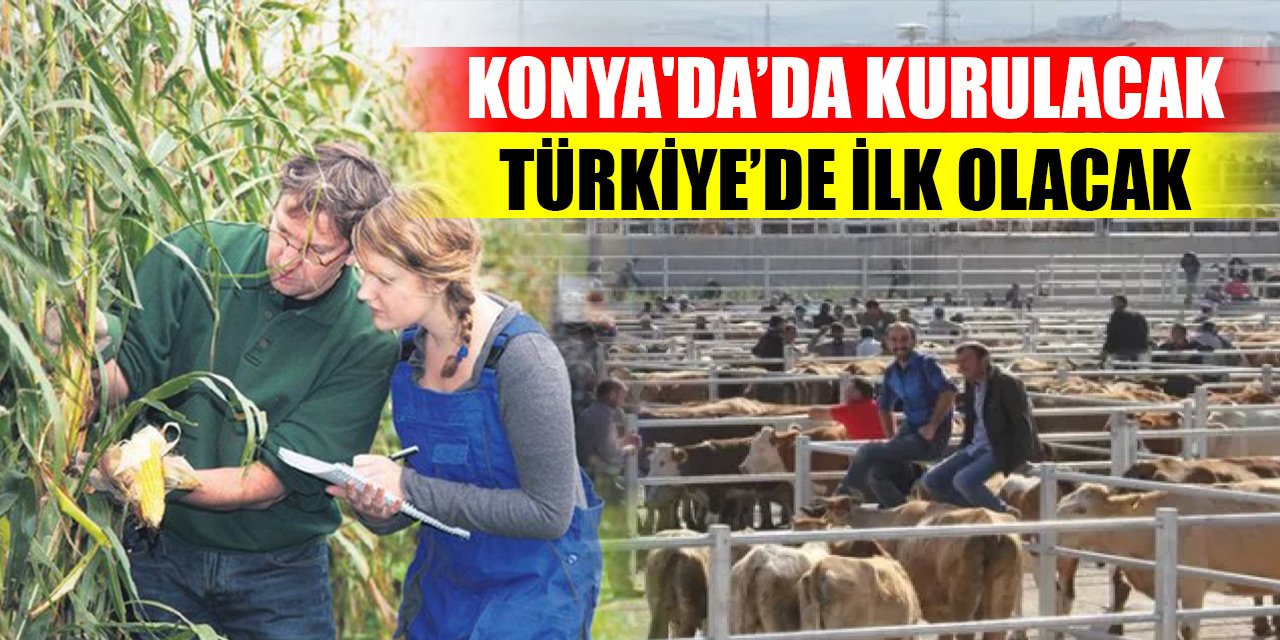 Konya'da Hollanda modeli hayvancılık kampüsü kurulacak