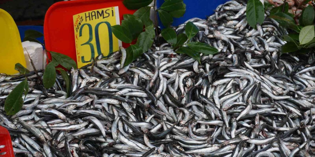 Sezona 80 liradan başlamıştı, hamsinin fiyatında düşüş