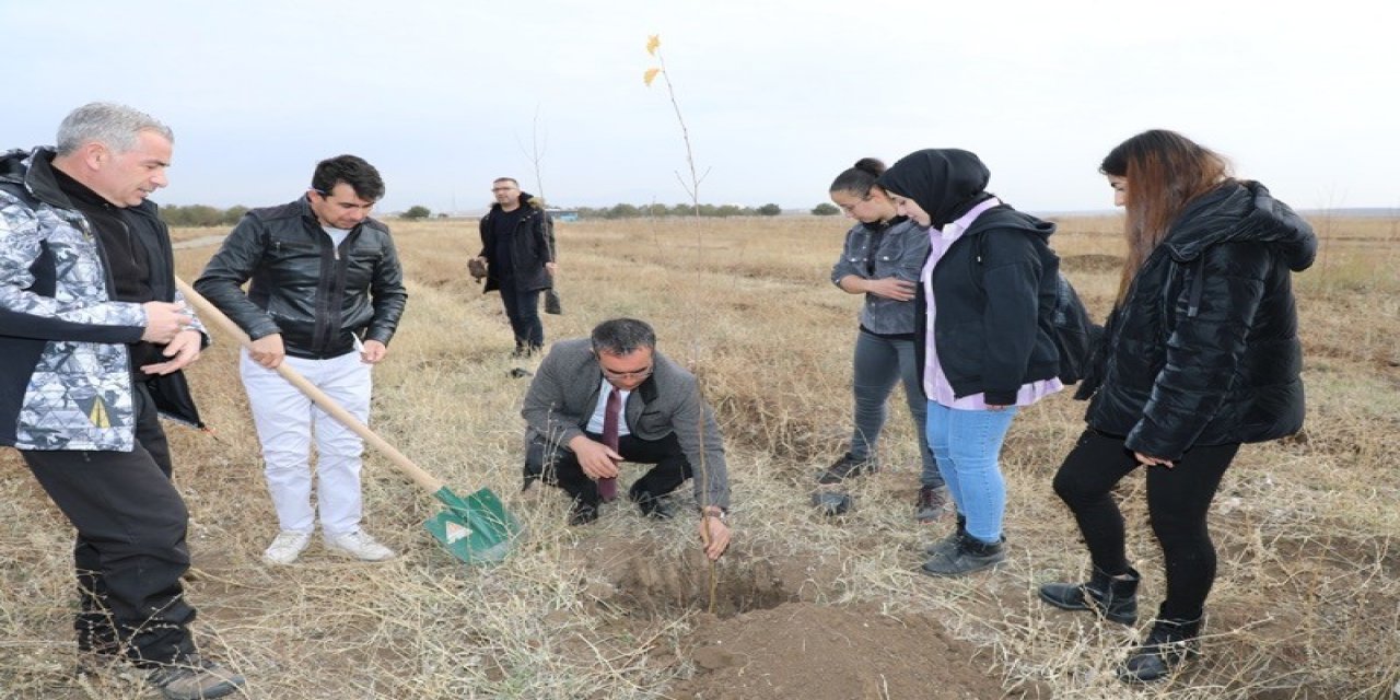 Ağrı’da 41 maden şehidi anısına fidan dikildi