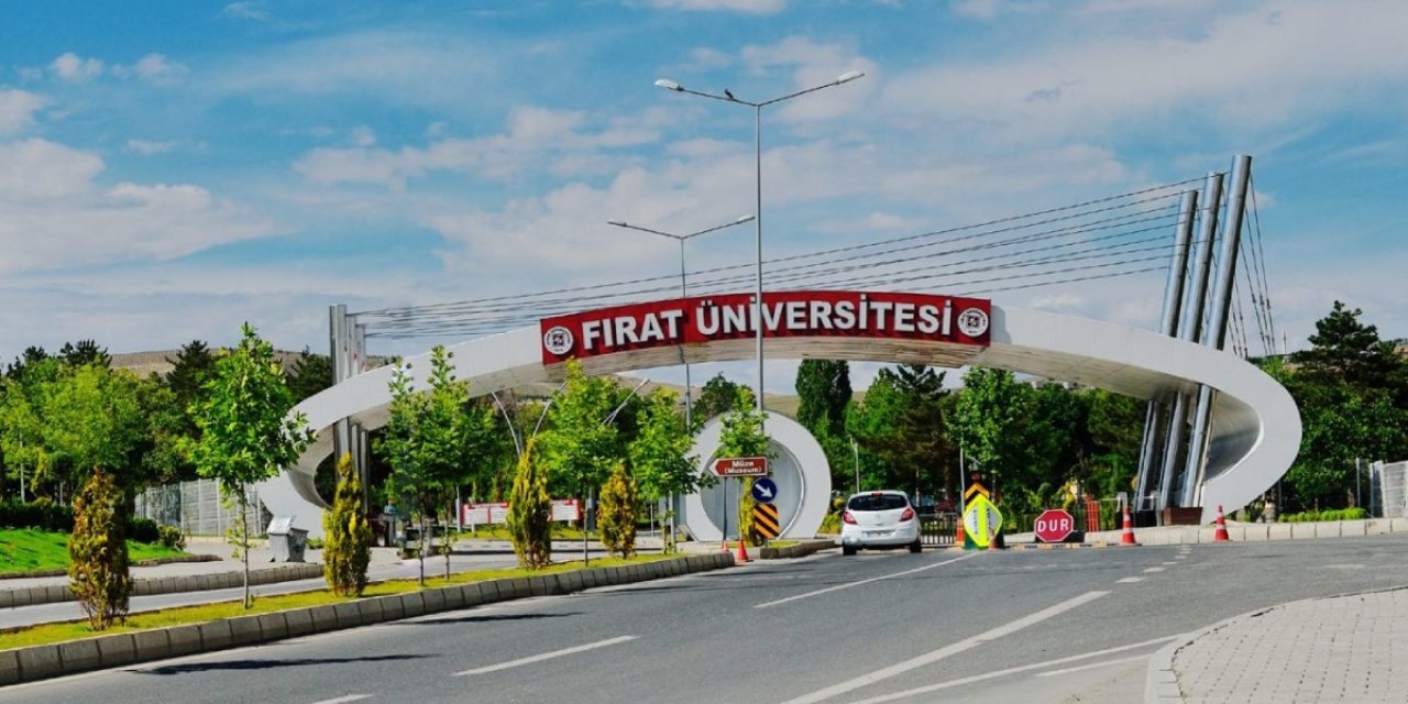 Fırat Üniversitesi 33 öğretim üyesi alacak