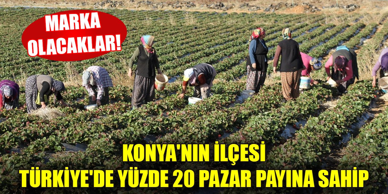 Konya'nın ilçesi Türkiye'de yüzde 20 pazar payına sahip... Kısa zamanda markalaşacaklar