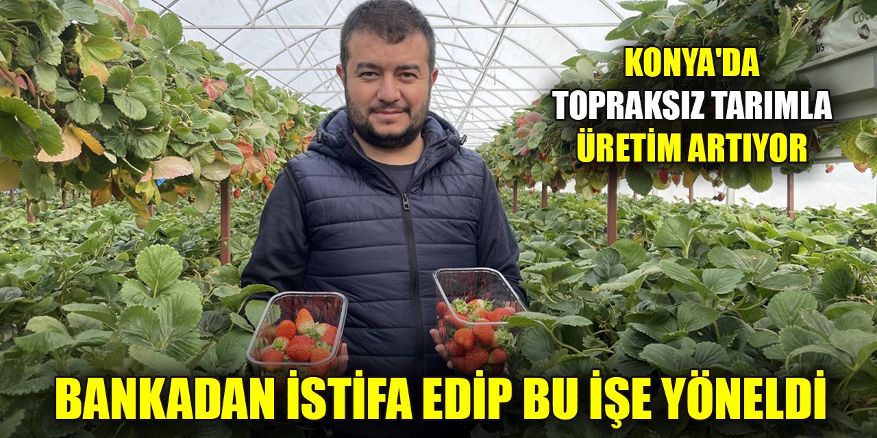 Konya'da topraksız tarımla üretim artıyor, yılda 9 kez hasat yapıyor
