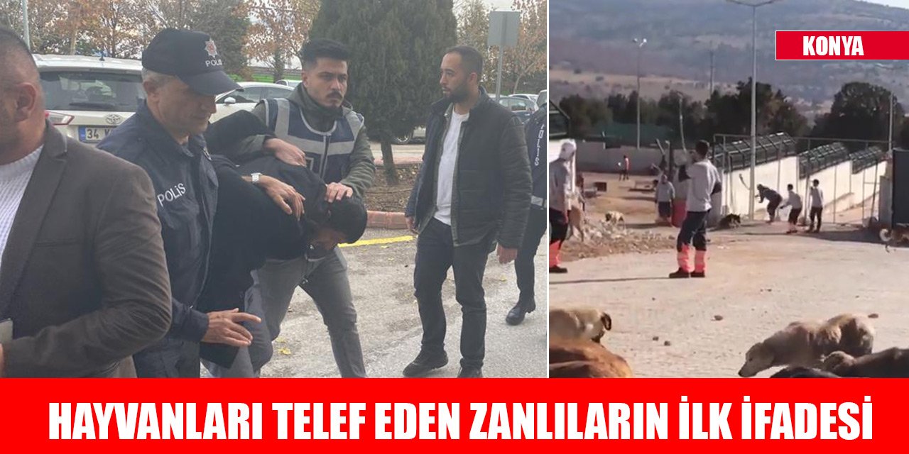 Konya'da barınaktaki hayvanları telef eden zanlıların ilk ifadesi