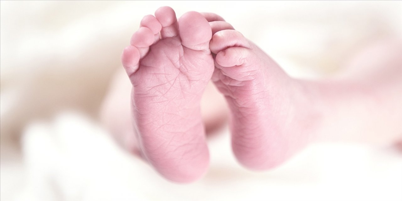 e-Doğum projesi ile 162 bin bebeğin nüfus kaydı tescillendi