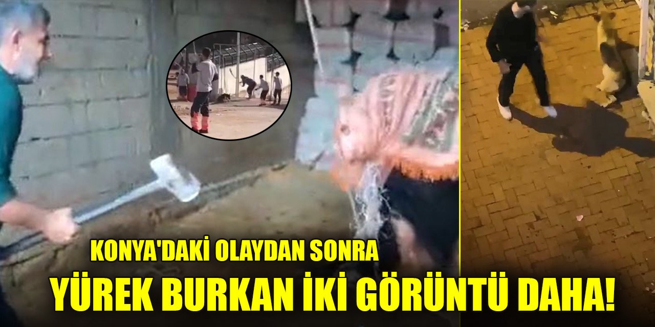 Konya'daki olaydan sonra yürek burkan iki görüntü daha!