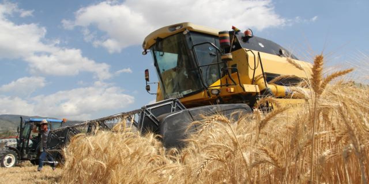 Bitkisel üretimde rekor bekleniyor