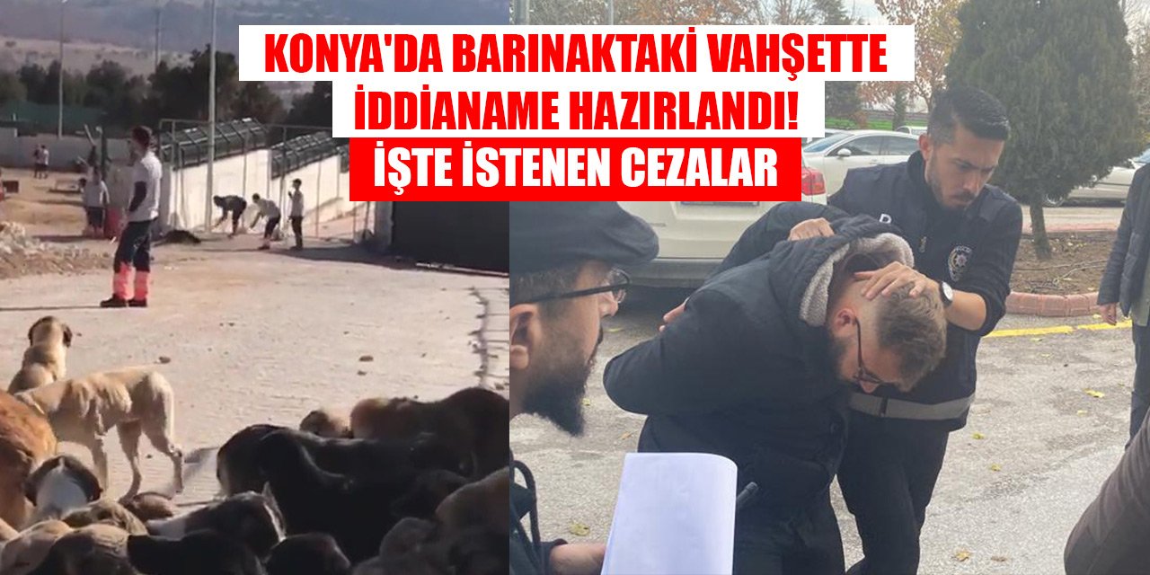 Son Dakika! Konya'da barınaktaki vahşette iddianame hazırlandı! İşte istenen cezalar