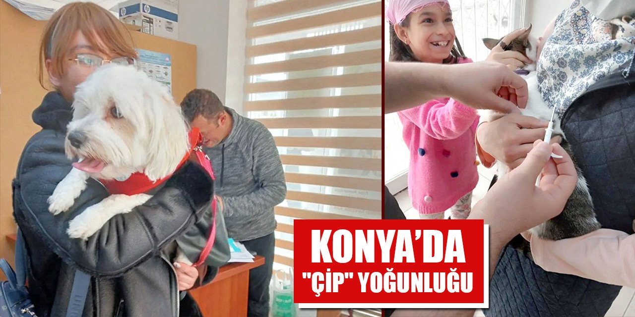 Konya’da "çip" yoğunluğu