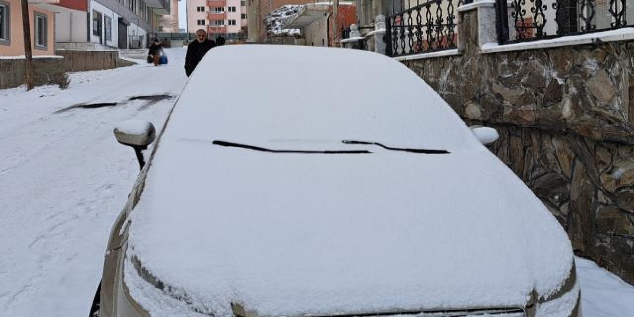 Doğu Anadolu karla kaplandı