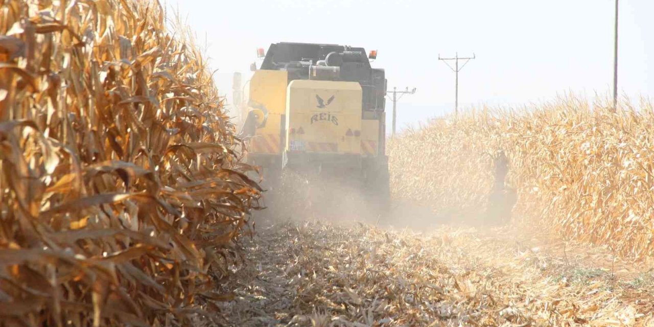 Çiftçiler yüzde 200 artan tohum fiyatlarıyla ilgili çalışma bekliyor