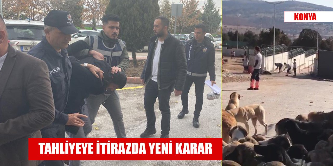 Konya'da barınakta köpek ölümüyle ilgili tahliyeye itirazda yeni karar