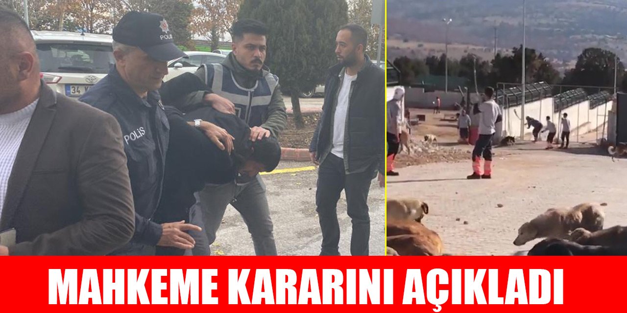 Konya'daki barınak olayında mahkeme kararını açıkladı